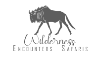 Wilderness Encounters  Safaris
