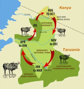 Great-Wildebeest-Migration-map